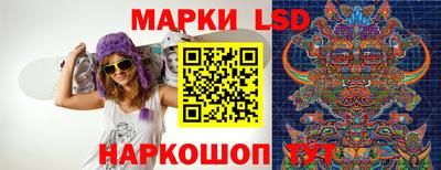 прущие грибы Анапа