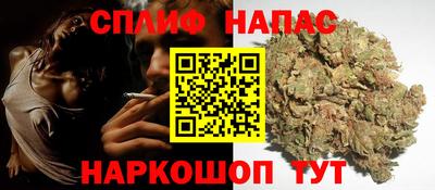 прущие грибы Анапа