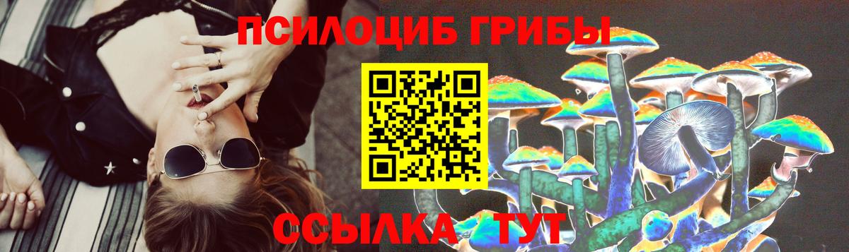 Галлюциногенные грибы мухоморы Артёмовский